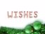 Picture of WISHES Rose gold Balloons